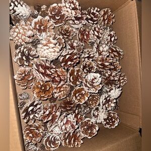 Decorative Pine Cones with White Accents